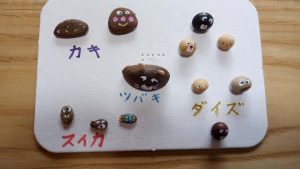 ドングリアートで使っている木の実、花の種